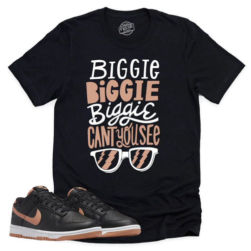 Can't You See Shirt | Retro Dunk Low Amber Brown Sneaker Match Tee