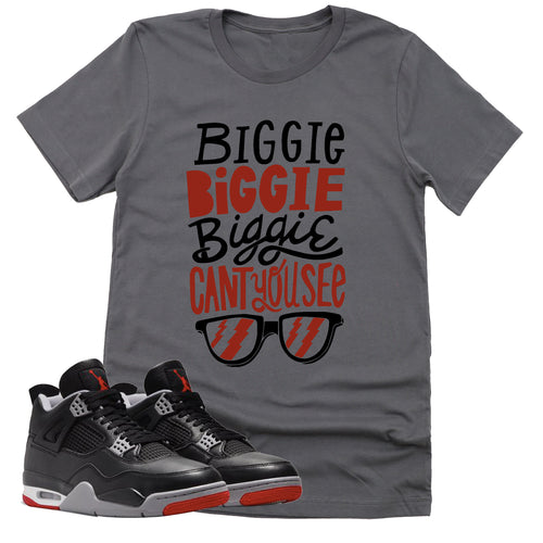 Can't You See Shirt | Retro Air Jordan 4 BRED Reimagined Sneaker Match Tee