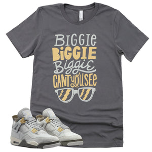 Can't You See Shirt | Retro Air Jordan 4 Craft Photon Dust Sneaker Match Tee