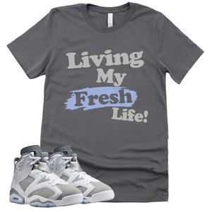 Living My Fresh Life Shirt | Retro Air Jordan 6 Cool Grey Sneaker Match Tee